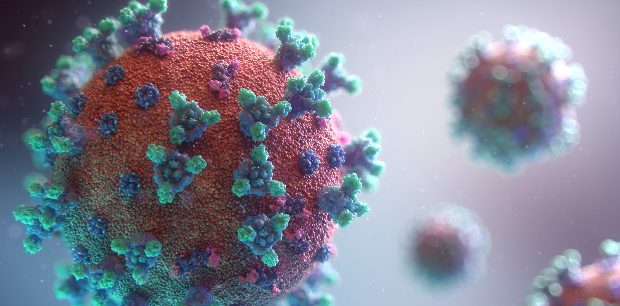 Odwołanie stanu zagrożenia epidemiologicznego